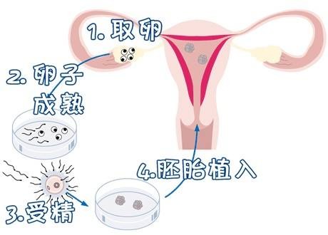 本院简介